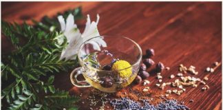 Wpływ bergamotki na organizm