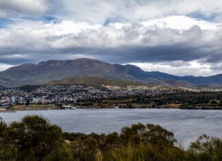 Jak duża rośnie żurawina?