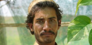 Dlaczego Mały Książę musiał wyrywać pędy baobabów?