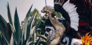 Które batony mają najwięcej białka?