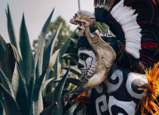 Które batony mają najwięcej białka? Które batony mają najwięcej białka?