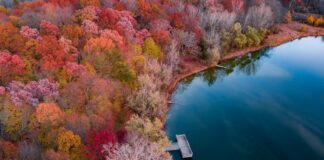 Co mi daje jedzenie codziennie trzech sztuk daktyli?