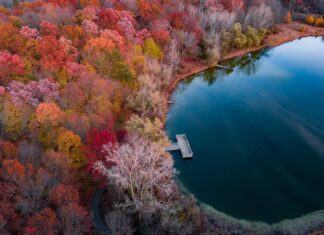 Co mi daje jedzenie codziennie trzech sztuk daktyli? Co mi daje jedzenie codziennie trzech sztuk daktyli?
