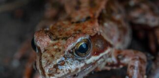 Czego nie wolno jeść przy zaparciach?