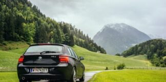 Jakie sery nie mają laktozy?