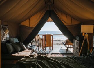 Czy można jesc przeterminowany ser biały? Czy można jeść codziennie biały ser?