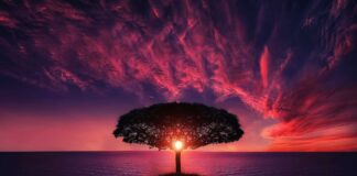 Czy 7 miesieczne dziecko może jesc chrupki kukurydziane?