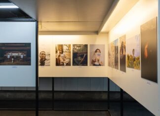 Jakie sery przy jelicie drażliwym?