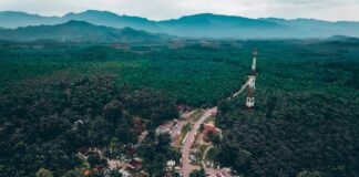 Gdzie kupić barwnik spożywczy Dr Oetker?