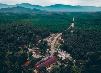 Gdzie kupić barwnik spożywczy Dr Oetker?