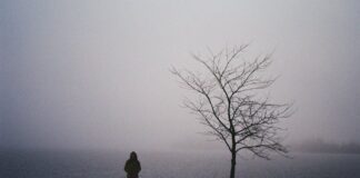 Skąd pochodzi nazwa bakalie?