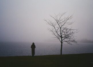Skąd nazwa żurawina? Skąd pochodzi nazwa bakalie?