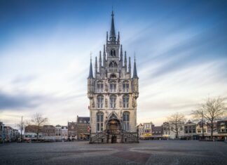 Czy ser gouda jest zdrowy?