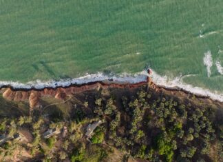 Kiedy jesc ser bialy? Kiedy jesc ser bialy?