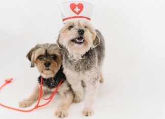 Gdzie wyrzucić stare majtki?