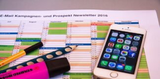 Czy borówka i żurawina to to samo?