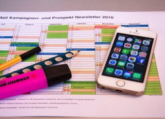 Czy borówka i żurawina to to samo? Czy borówka i żurawina to to samo?