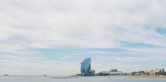 Czy borówkę amerykańską można przechowywać w lodówce?