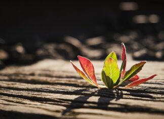 Ile podkładów do przewijania?