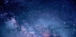 Ile kosztuje badanie jelit?