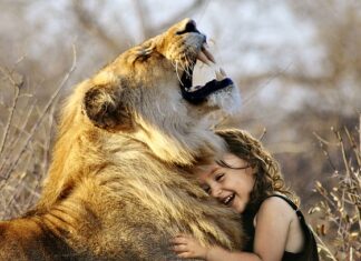 Jak zęby się przesuwają?