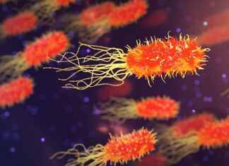 Czy organizm trawi waciki?