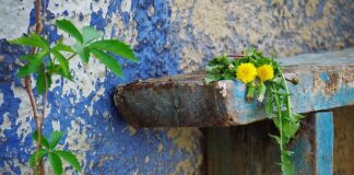 Jak naprawić porysowane szkła w okularach przeciwsłonecznych?