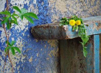 Jak naprawić porysowane szkła w okularach przeciwsłonecznych?