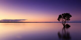 Czy można pić wodę po myciu zębów?