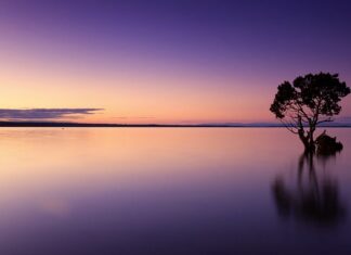 Czy można pić wodę po myciu zębów?