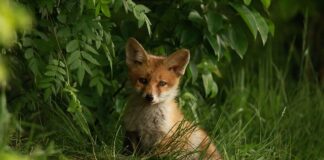 Jak zrobić wodę morska do nosa?