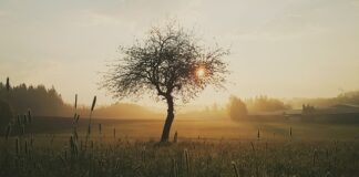 O czym świadczą trudno Gojące się rany?