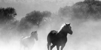 Czy można palić bez waty?