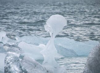 Jak wspierać kobietę w połogu? Jak wspierać kobietę w połogu?
