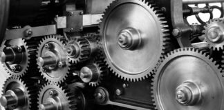 Jakie zioła usuwają metale ciężkie z organizmu?