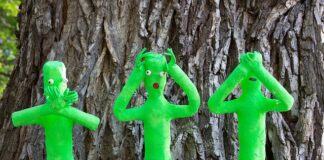 Co regeneruje słuch?