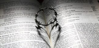 Jaki płyn do soczewek Acuvue Oasys?