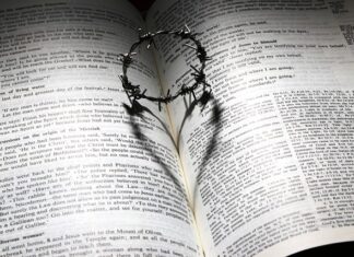 Jaki płyn do soczewek Acuvue Oasys?