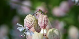 Jak mocno powinna być napompowana piłka rehabilitacyjna?