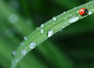 Czy ręczniki i pościel można prać razem?