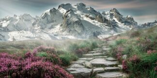 Jak się nazywają kamienie do masażu?