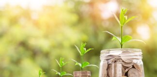 Ile kg kupy robi człowiek?