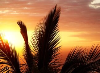 Czy stan zapalny dziąseł jest groźne?