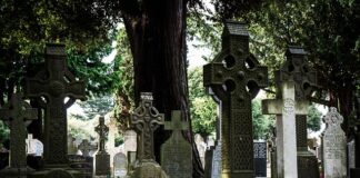 Co użyć zamiast wacików?