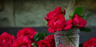 Co ile wymieniać pojemnik na soczewki?