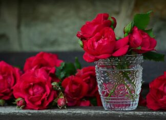 Co ile wymieniać pojemnik na soczewki? Co ile wymieniać pojemnik na soczewki?