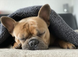 Jak rozgrzać kamienie do masażu?