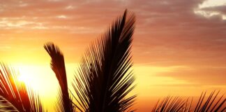 Co jest dobre na stan zapalny dziąseł?