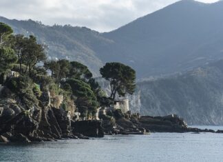 Ile kosztuje Gua Sha?