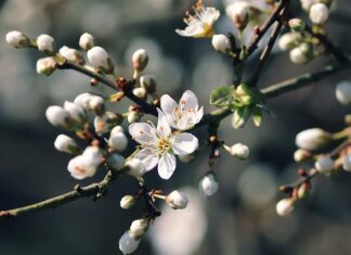 Czym zmywać makijaż przy trądziku?